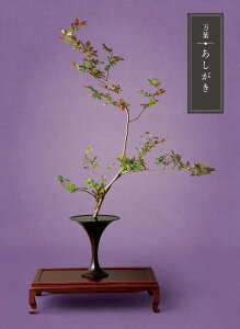 yJ^OMtgzt@`TԂA@vE@̈o`y805_fځzyMtgElEܖzHi/G[7821-10]