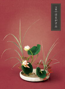 !!yJ^OMtgzt@͂邪݁y620_fځz`TԂA@vE@̈o`yMtgElEܖzHi/G[7821-10]