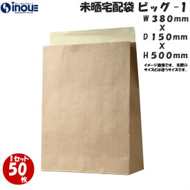 未晒宅配袋 レギュラー BIG1 50枚 100枚 500枚 宅配袋 送料無料 業務用 レギュラー BIG1 ●サイズ 380（幅）x150（マチ）x500（深さ）＋60（糊付部）（宅配袋 特大 梱包 袋 梱包用 梱包資材 宅急便 袋 大）