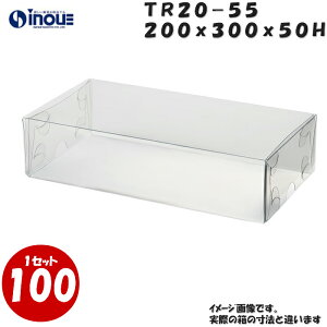 TR20-55 W200XD300XH50mm NAP[X bsO{bNX ӂ g g1Zbg100 |Ɩp NA{bNX Mtg{bNX  bsO bsO{bNX   bsOpi َq 
