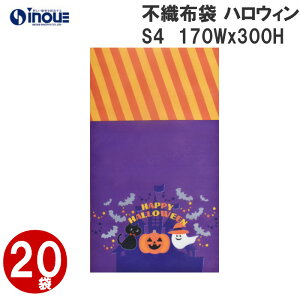 AEgbgi nEB sDz \tgobO 20 LB062 170Wx300HmmbHalloween  MtgobO  َq  qǂ q Mtg bsO  ڂ pvL