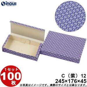 aَqT[rX  C12 aJbv12p  ܑg 245W×176D×45H 1Zbg100 aَqp pbP[W a bsO َq  ϔ