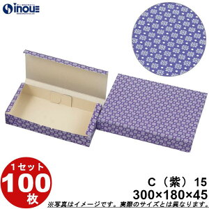 aَqT[rX  C15 aJbv15p  ܑg 300W×180D×45H 1Zbg100 aَqp pbP[W a bsO َq  ϔ