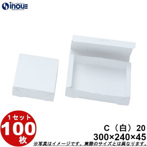 aَqT[rX  C20 aJbv20p  ܑg 300W×240D×45H 1Zbg100 n aَqp pbP[W a bsO َq  ϔ