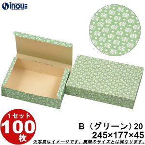 aَqT[rX  B20 O[ ܑg 245W×177D×45H 1Zbg100 aَqp pbP[W a bsO َq  ϔ