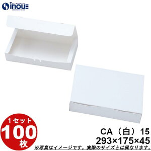  n CA 15 ^b` 293W×175D×45H 1Zbg 100 \蔠 َq bsO Ăَq aَq mَq َq Mtg  n  Mtg{bNX  box   Ɩp
