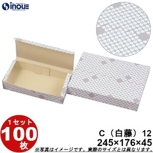aَqT[rX  C12 aJbv12p  ܑg 245W×176D×45H 1Zbg100 aَqp pbP[W a bsO َq  ϔ