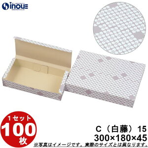 aَqT[rX  C15 aJbv15p  ܑg 300W×180D×45H 1Zbg100 aَqp pbP[W a bsO َq  ϔ
