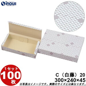 aَqT[rX  C20 aJbv20p  ܑg 300W×240D×45H 1Zbg100 aَqp pbP[W a bsO َq  ϔ