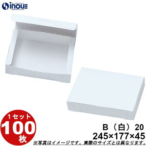  n B20 ܑg 245W×177D×45H 1Zbg100 Ap َq bsO{bNX y[p[{bNX box َq 蕨  aَq gݗĎ ` v[g zCg