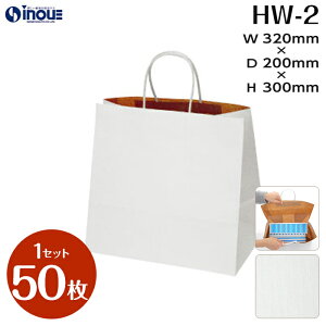  񂰎 HW|2 RESio[VuEXgCvj 1Zbg50 320x200x300 y y[p[obO n 񂰑 񂰎 Ɩp z