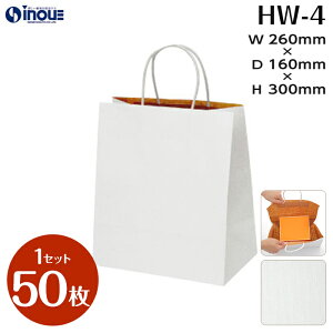  񂰎 HW|4 RESio[VuEXgCvj1Zbg50b260x160x300 y[p[obO n 񂰑 񂰎 Ɩp Ǝ w