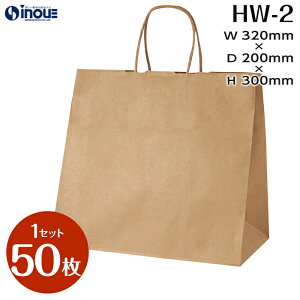 񂰎 }`L HW-2 ^Cv n 1Zbg50 320X200X300b񂰎 n p Ntg bsO eCNAEg Mtg Cxg َq nhCh 񂰑    LTCY 