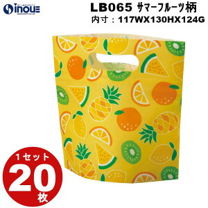 sDz  ăbsO obO T}[t[c1Zbg20 110W×140H×80G O110W×190H×80G ăMtg v[g 킢 bċx  MtgobO َq  q