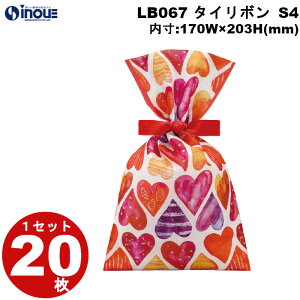 sDz ~bsO ^C{ S4 ԐFn[g LB067 1Zbg20 :170Wx203H(mm) O:170Wx300H(mm) v[g 킢 bMtgobO َq  bsO  bs
