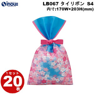 tbsO  sDz ^C{ S4 XJC sN  LB067 1Zbg20 :170×203b bsOpi Mtg َq  bsO MtgobO v[g 킢  C