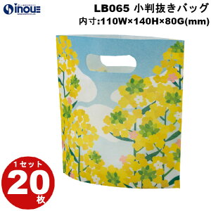 tbsO  sDz obO ~j ؂̉ԕ F CG[   LB065 1Zbg20 :110×140×80b bsOpi Mtg َq  bsO MtgobO v[g