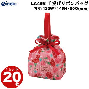 tbsO  sDz 񂰃{obO J[l[V LA456 1Zbg20 :120×145×80 b bsOpi Mtg َq  bsO MtgobO v[g 킢 