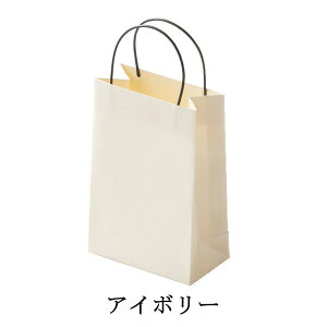 手提げ 紙袋 ペーパーバック 966 1セット50枚 (内寸)小 袋 ラッピング 紙袋 無地 業務用 バッグ 包装 袋 展示会 イベント ジュエリー用紙袋 お菓子用紙袋ミニサイズ紙袋 小さい紙袋 ミニサイ