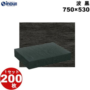  1Zbg 200 TCY 750×530 G{X g   bsOpi n `bN a S  bsO  Ɩp  