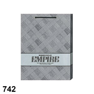 紙袋 手提げ ビニールかぶせの紙袋 高級手提げ紙袋 ロングデラックス 全5種 1セット10枚 W330×D110×H440mm 表面ビニールかぶせ ラッピング用品 包装 ラッピング袋 ペーパーバッグ 無地 手提げ紙