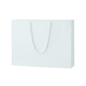  񂰎 VCj[obO zCg ubN LL-W 1Zbg10 600x130x450 \PPHb o bsO  o o v[gp 񂰑 y[p[obO 肳