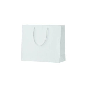  񂰎 VCj[obO zCg ubN M-W 1Zbg10 320x110x270 \PPHb o bsO  o o v[gp 񂰑 y[p[obO y[