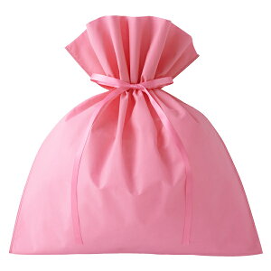 bsO MtgobO LL sDz В W600xH700 i܂H510 1Zbg100bbsO  bsOpi { ^C t v[g В o^C o^Cf[ Mtg  M