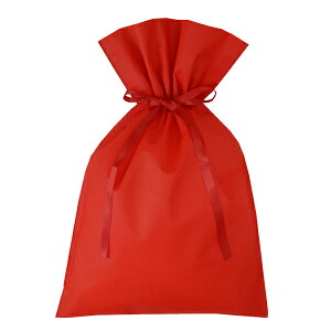 LC961 o^C bsO MtgobO@M sDz В W310xH500ii܂H360j 1Zbg100bobO bag v[g Mtg   a 킢  { Ɩp n 