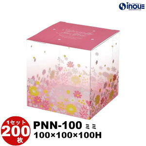 NX^{bNX NAP[X sAP[X L[u^ PNN-100 1Zbg50 100 200 S16 100W×100D×100H fUC   `  킢  bsO{bNX N