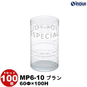 NAP[X NX^{bNX fUC ~ P[X PVC MP6-10 u 60×H100 1Zbg100  MtgiNA{bNX L Mtg{bNX bsO NA P[X  bs