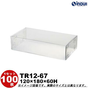 トレジャーボックス TR12-67 W120XD180XH60mm クリアケース ラッピングボックス ふた 身 組箱 1セット100枚 |業務用 クリアボックス ギフトボックス 箱 ラッピング ラッピングボックス 透明 箱 ラッ