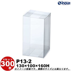 NA{bNX NALENX^{bNXE{bNXE P13-2 W130XD100XH160 1Zbg100 300