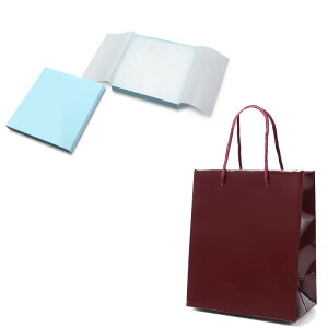 Mtg{bNX ANZT[   1+1܃Zbg 7301 190×180×24  W220×D120×H260 WG[ p bsO   Mtg v[g {bNX 킢 v[gp \蔠 bsO