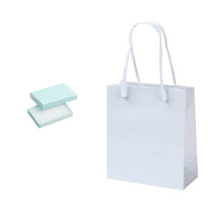 ギフトボックス アクセサリー ネコポス 紙箱 1箱+1袋セット 7332 76W×50.5D×12H 紙袋 W150×D70×H170 ジュエリー用 ラッピング 箱 小 スマートボックス プレゼント ボックス かわいい プレゼント用 貼