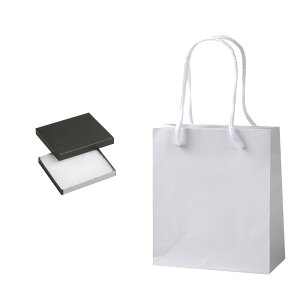 ギフトボックス アクセサリー ネコポス 紙箱 1箱+1袋セット 7334 97W×83D×12H 紙袋 W150×D70×H170 ジュエリー用 ラッピング 箱 小 スマートボックス プレゼント ボックス かわいい プレゼント用 貼