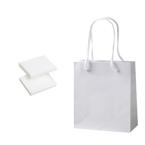 ギフトボックス アクセサリー ネコポス 紙箱 1箱+1袋セット 7334 97W×83D×12H 紙袋 W150×D70×H170 ジュエリー用 ラッピング 箱 小 スマートボックス プレゼント ボックス かわいい プレゼント用 貼