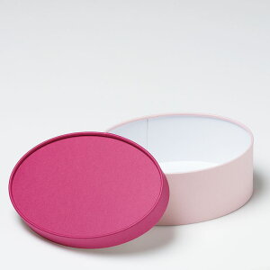 Mtg{bNX   Io[ ȉ~ tFU[P[X 162x116xH65mmij 2147 1Zbg100bv[g{bNX bsO Zbg bsO{bNX 蕨 v[g v[gpi 