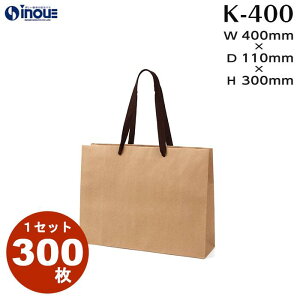  񂰎 K Ntg K-400 1Zbg50 300 400x110x300b }` v R Ђ F Ntg NtgobO 傫  y[p[obO y[p[obN Ɩp 肳 Cx