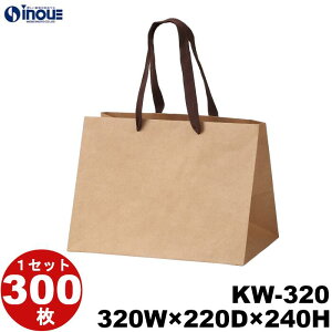    K Ntg }`L L KW-320 1Zbg50 320×220×240b  NtgobO 2 o uC_ F n Ɩp y[p[obO bsOpi bs