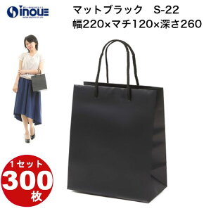  񂰎 }bgubNS-22  1Zbg50 300 220x120x260 \ʃ}bgPPH b bsO  o o v[gp y[p[obO y[p[obN 肳 