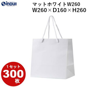 o  }`L  }bgzCgW-260 1Zbg50 300 260X160X260buC_obO bsO  o o v[gp y[p[obO 肳 j Mtg