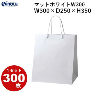 o  }`L  }bgzCgW-300 1Zbg50 300 300X250X350buC_obO bsO  o o v[gp y[p[obO 肳 j Mtg