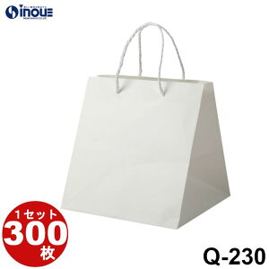  }`L  uC_obO Q-230 50 300 250X230X260bo  y[p[obO n 񂰎 op   bsO Ɩp   p 傫 LTCY 
