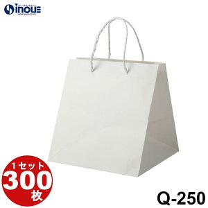 Q-250  }`L  uC_obO 50 300 280x250x280bo  n y[p[obO P[Lp p uC_ op  uC_p o NX}X