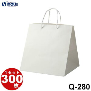  }`L  uC_obO Q-280 50 300 300X280X310bo  y[p[obO n 񂰎 op   bsO Ɩp   W  p 傫