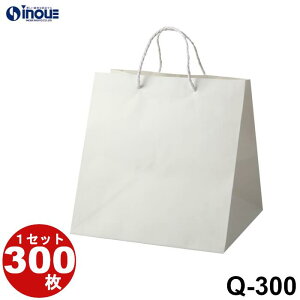  }`L  uC_obO Q-300 50 300 320x300x330bbsO  o o v[gp 񂰑 y[p[obN 肳 jMtgobO }` A4  ۃq