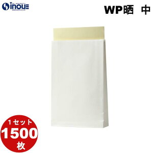 WPNz \PEi/hHjH  1Zbg300 z PE~l[g[] z Ɩp