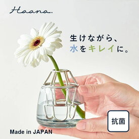 ＼150円OFFクーポン配布中／楽天スーパーSALE オークス AUX ウォーターキープベース Haana(ハーナ)