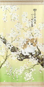 ̂ g OlR̂85×170cmtlR{[_[/ălR{[_[/HlR{[_[/lRS{[_[